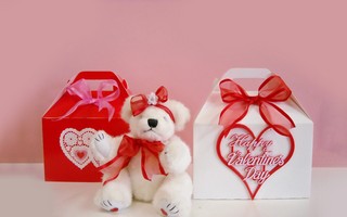 Valentines_Day 89.jpg